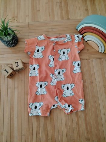 Combishort koala garçon 12mois