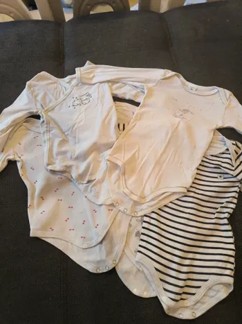 Lot 5 bodies