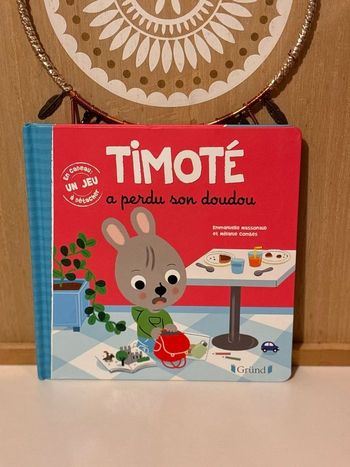 Livre timoté à perdu son doudou 