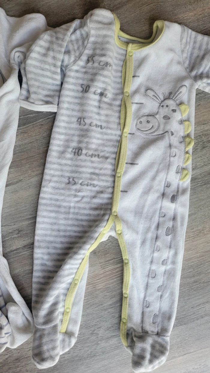 Grenouillère - photo numéro 6