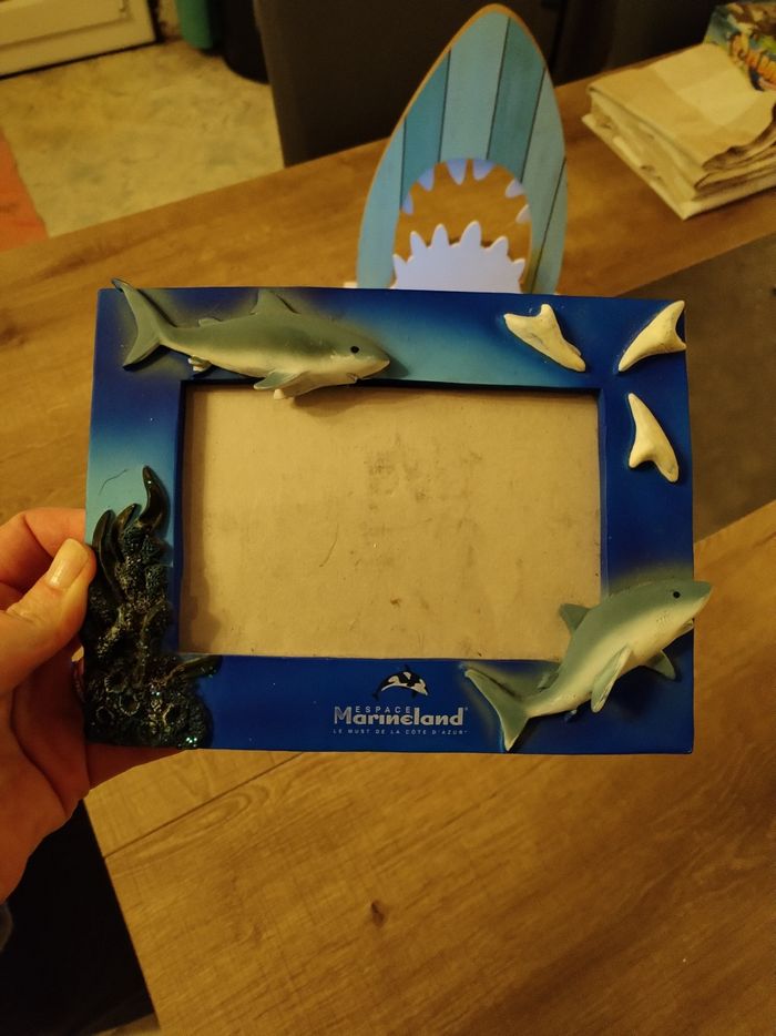 Lot déco requin - photo numéro 2