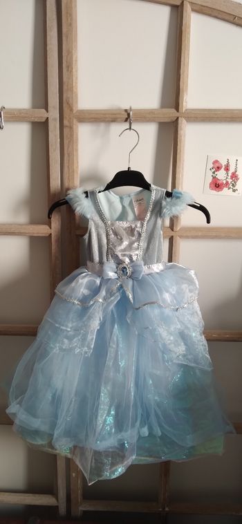 Deguisement princesse La reine des neiges 