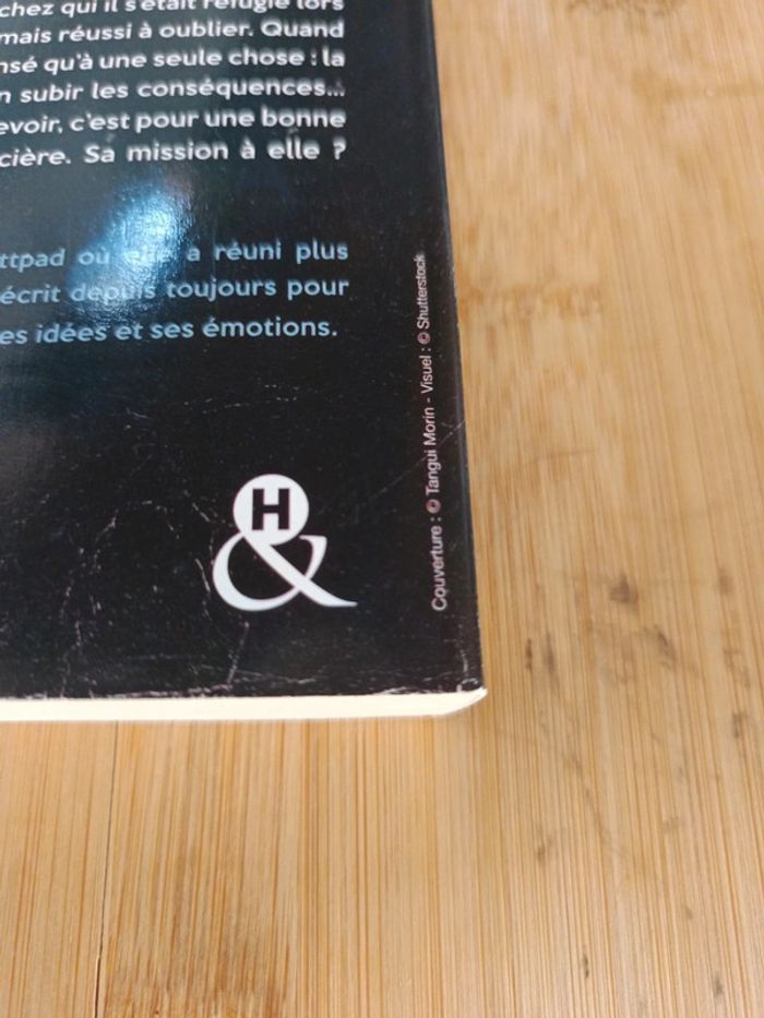 Livre Criminal love ( new Adult) - photo numéro 10