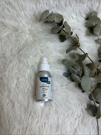 Spray d’ambiance Neobulle