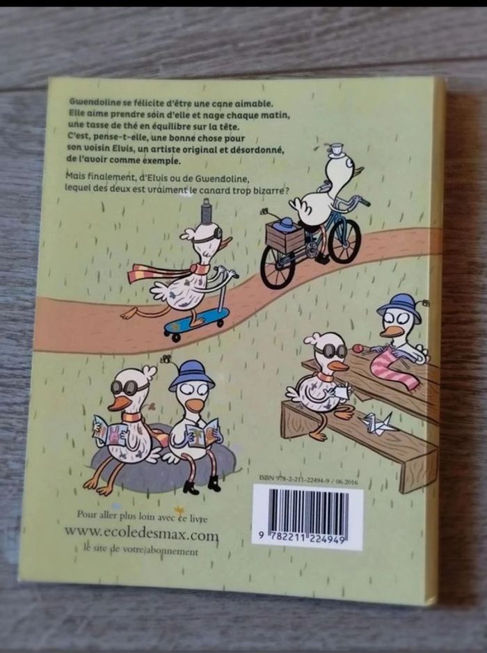 Des  canards  trop bizarres - photo numéro 2