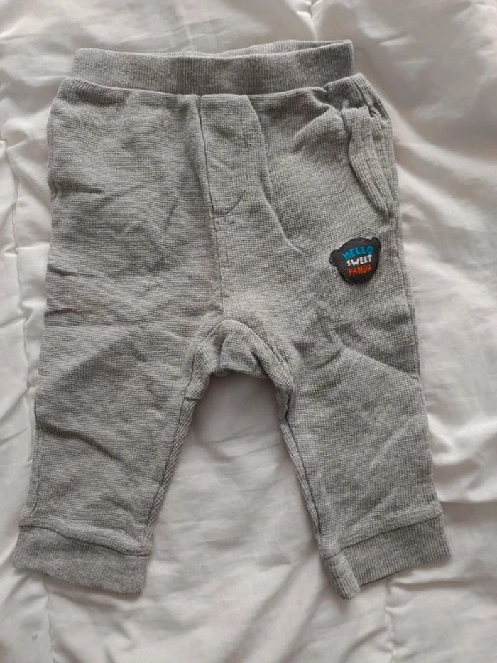 Jogging orchestra 6m tbe