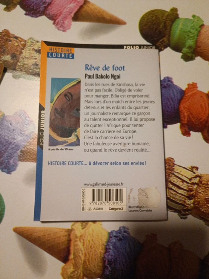 Livre rêve de foot - photo numéro 2