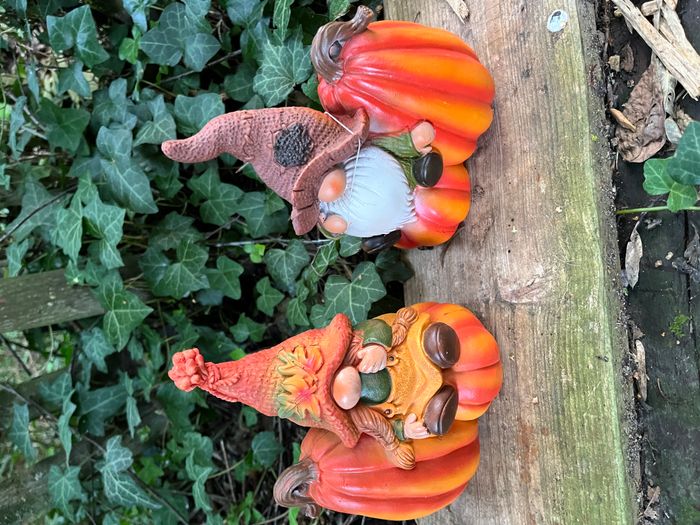 Couple de lutin gnome des forêt sur Citrouille - photo numéro 2