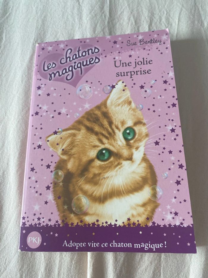 Les chatons magiques