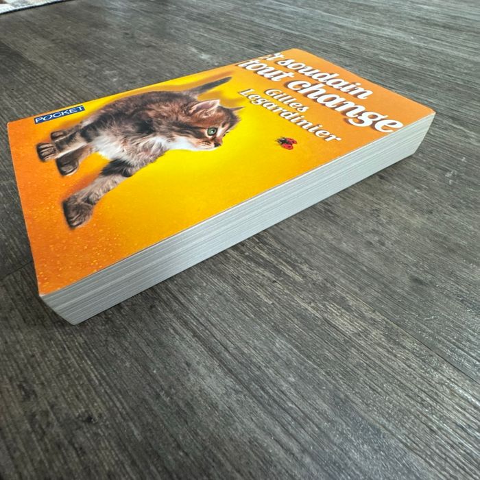 Gilles Legardinier - et soudain tout change - photo numéro 6