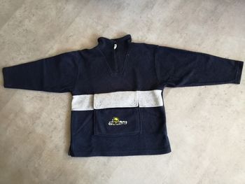 Polaire marine et grise 10 ans Disney Dinosaure