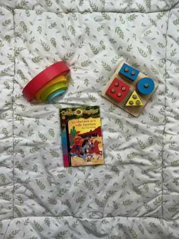 livre la cabane magique tome 13 les chevaux de la ville fantôme