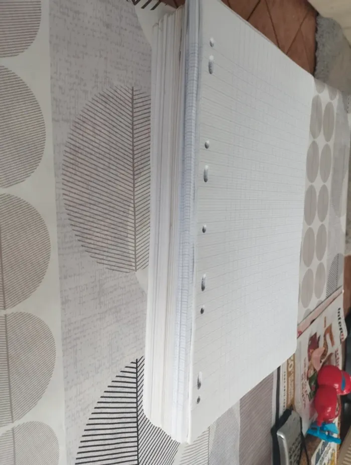 Gros lot feuilles simples grands carreaux - photo numéro 2