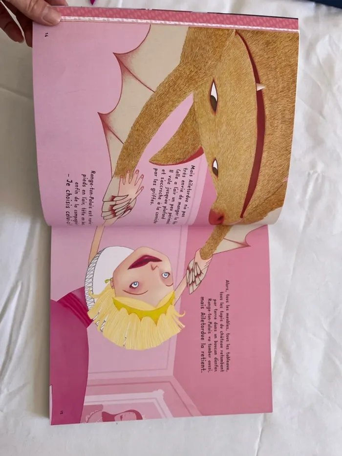 Livre princesse - photo numéro 5