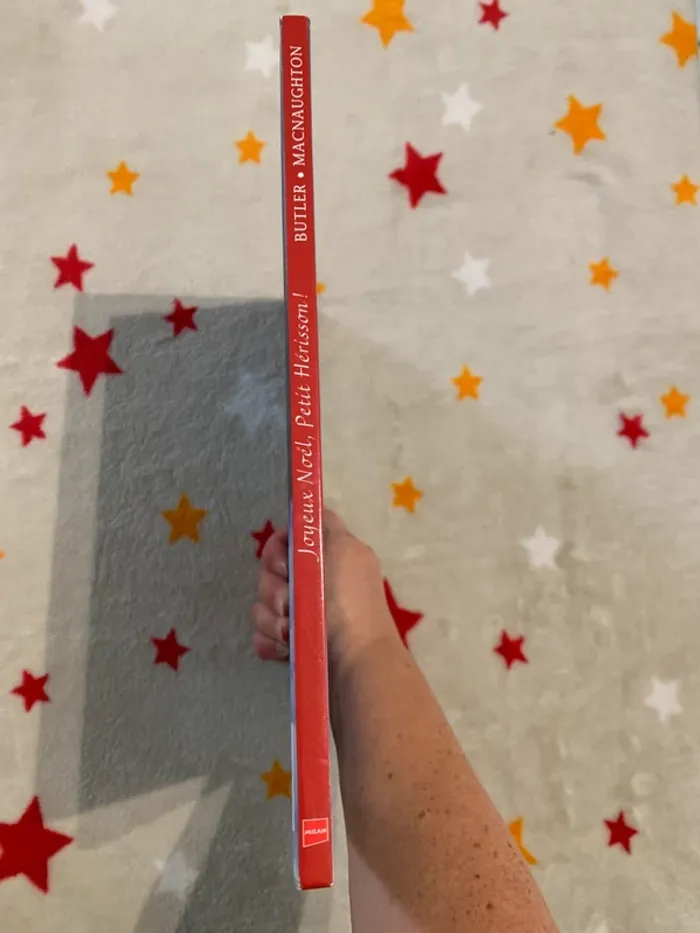 Joyeux Noël, Petit Hérisson – Grand format – Livre qui scintille - photo numéro 2