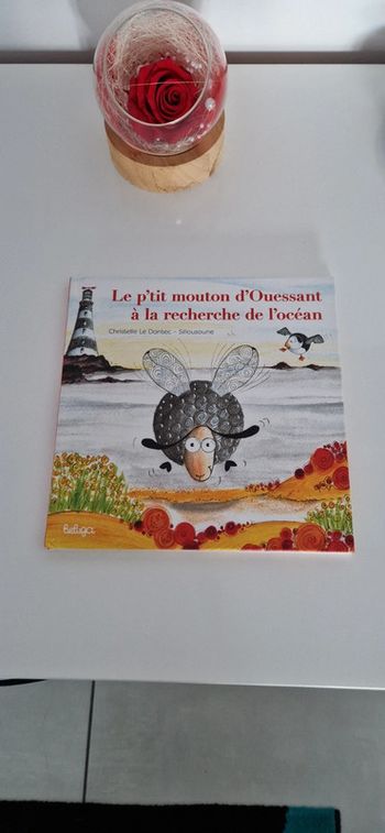 Livre enfant Le p'tit mouton d'Ouessant à la recherche de l'océan