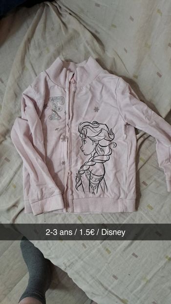 Veste reine des neiges