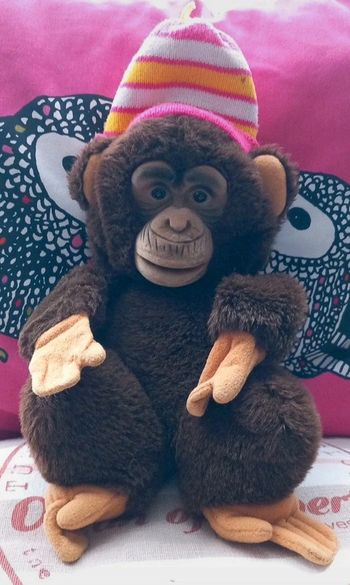 Peluche singe Ajena vintage 33cm vintage années 80.