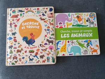 Lot de livres Cherche et trouve