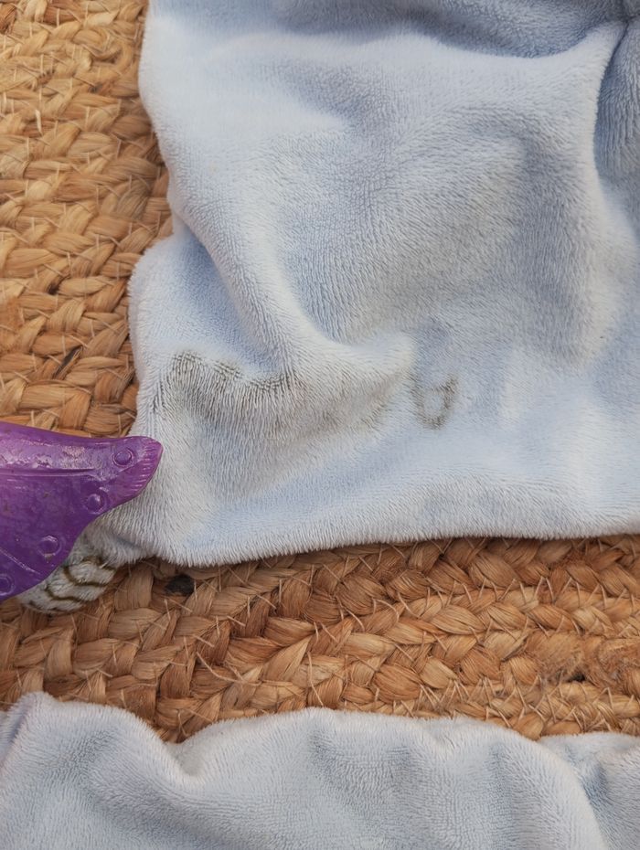 X2 doudous lapins - photo numéro 4