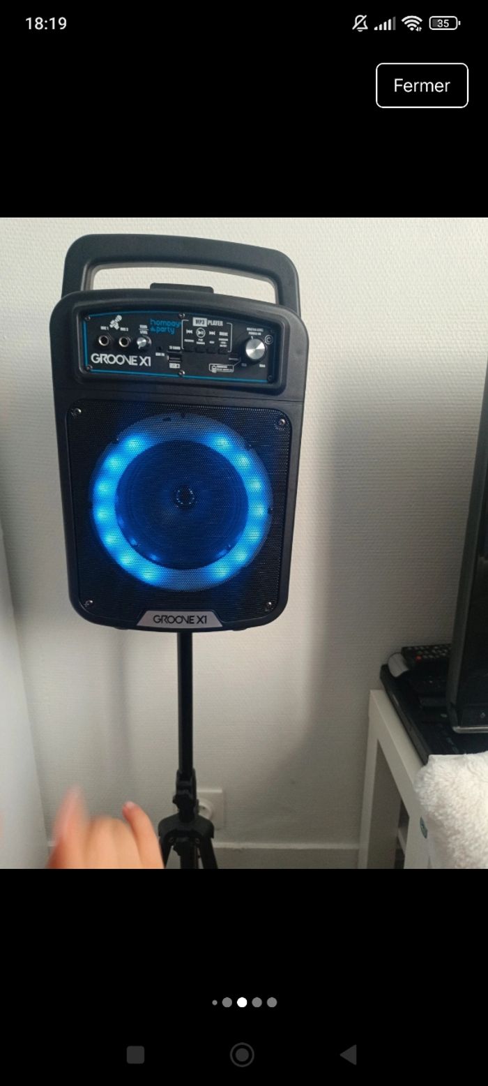 Enceinte sur pied - photo numéro 3