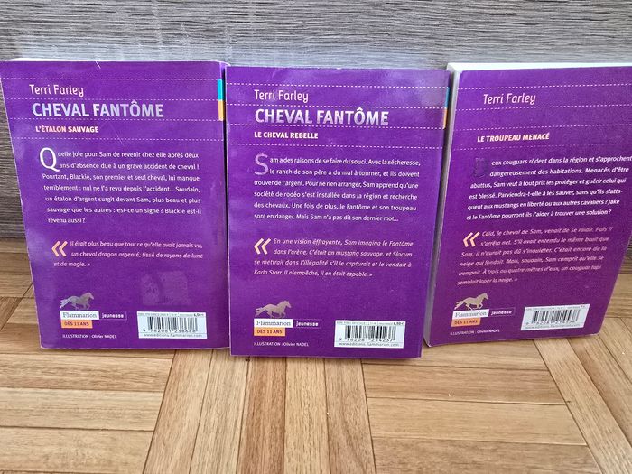 Livre "Cheval fantôme" - photo numéro 5