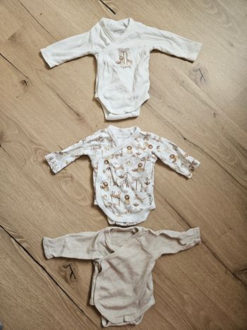 Lot 6 bodies