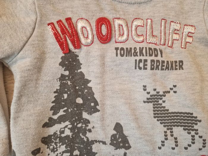 2 sweats garçon, 24M - photo numéro 3