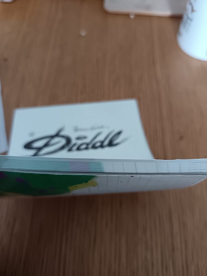 Bloc diddl - photo numéro 3