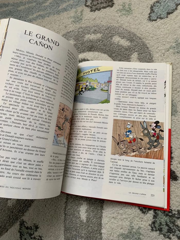 Livre le Monde enchantée de Walt Disney - Histoires du nouveau monde - photo numéro 2