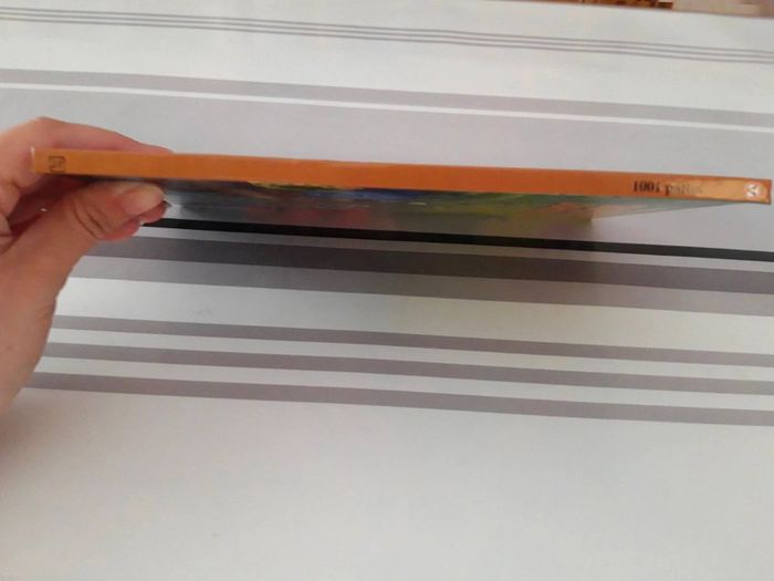 Livre :  1001 pattes - photo numéro 15