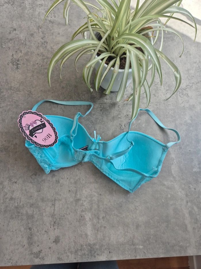 Soutien gorge - photo numéro 3