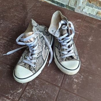 Style converse