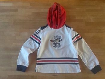 sweat à capuche taz 8/9 ans