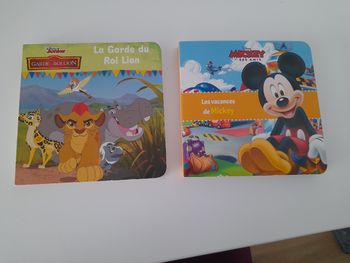 Lot de 2 petit livres disney