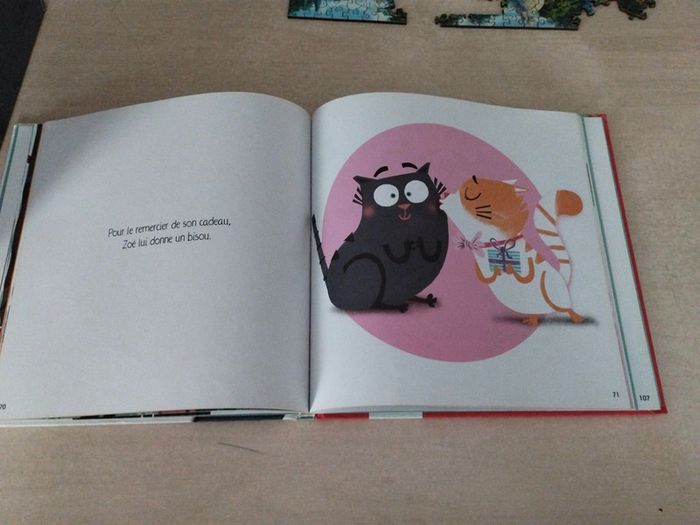 4 histoires pour gérer les émotions de petit chat - photo numéro 4