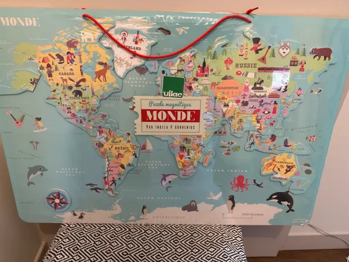 Vilac - Carte du Monde magnétique Ingela P.Arrhenius - 5 ans et + - photo numéro 2