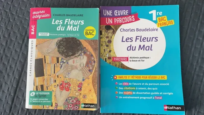 Les fleurs du Mal