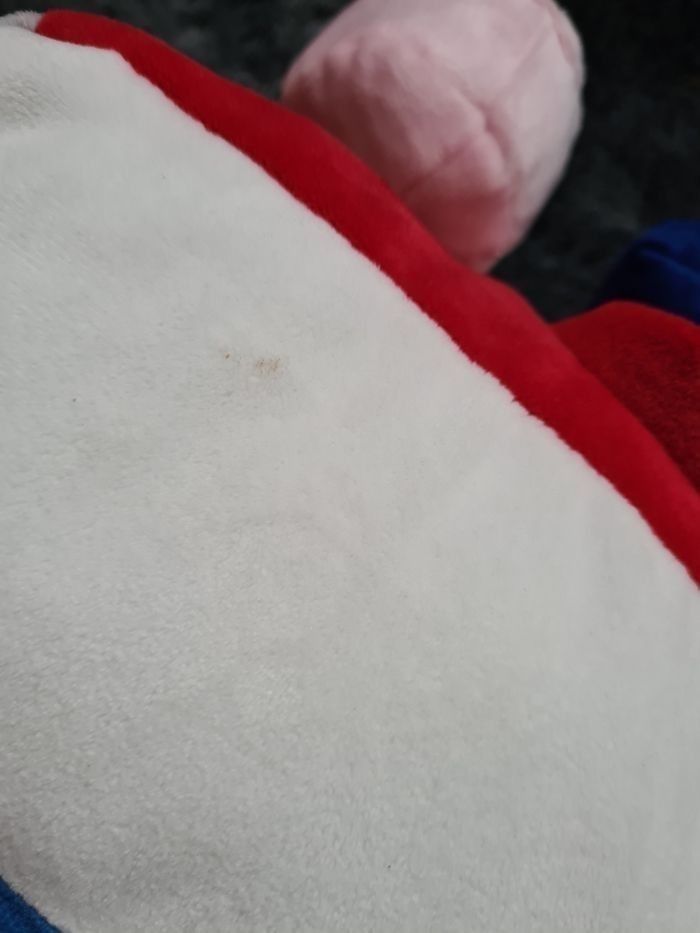 Chien activité - photo numéro 5