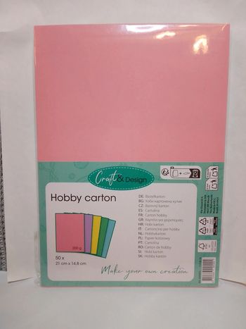 Papier cartonné A5 couleurs pastels x50