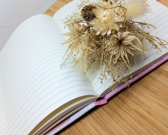 Journal Intime Chat - photo numéro 9