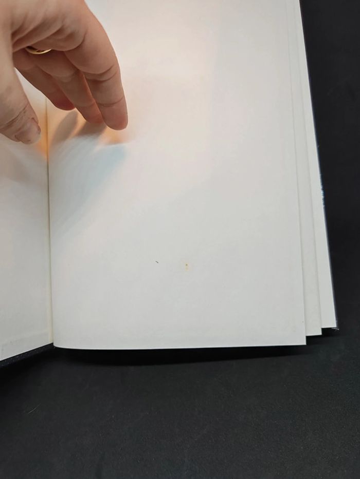 Walt Disney Rox et roucky - photo numéro 3