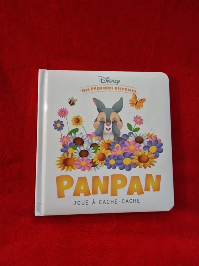 Livre mes premières histoires Disney panpan joue à cache cache