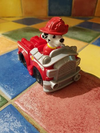 Pat patrouille Marcus