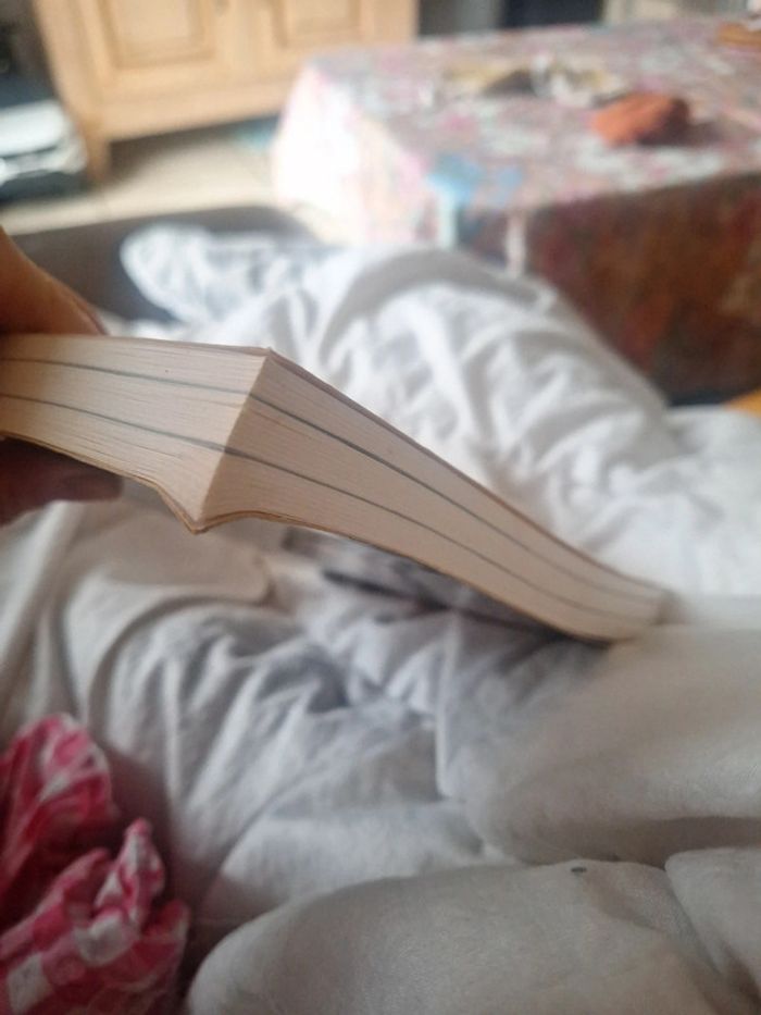 Livre le cap Horn en kayak - photo numéro 6