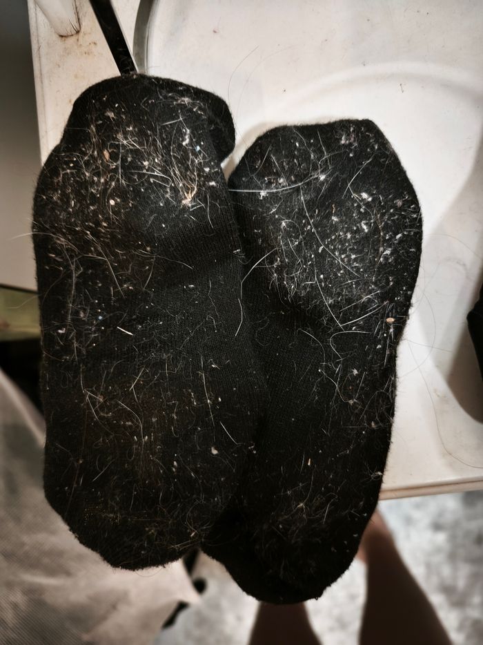 Chaussettes  sal - photo numéro 2