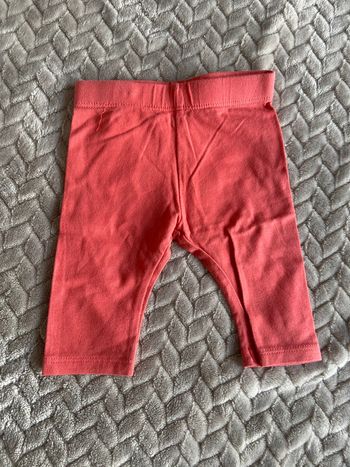 Legging capri