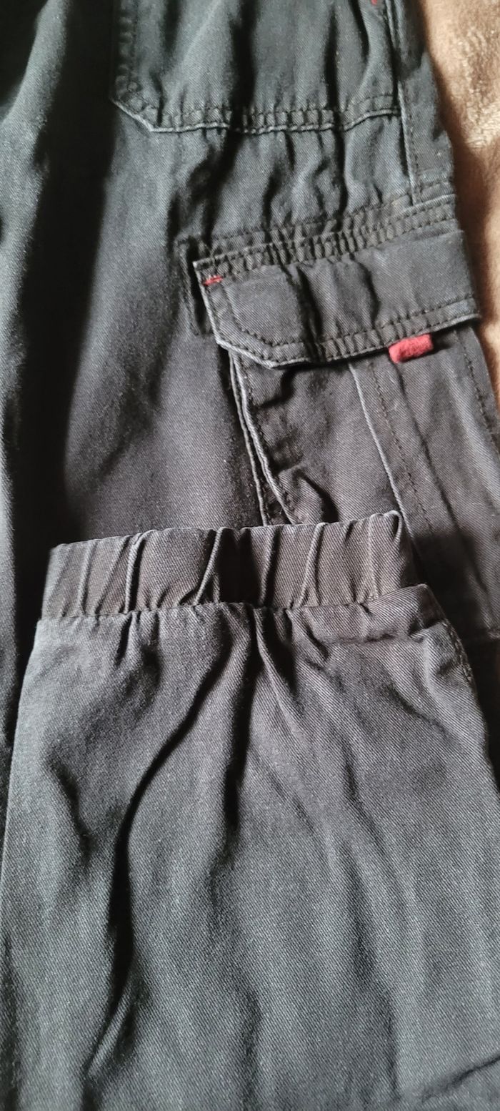 Cargot - photo numéro 2