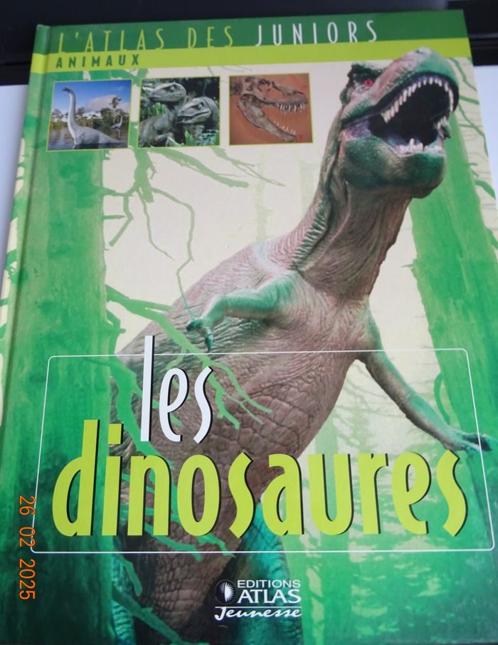 lot 3 Atlas junior des animaux dinosaures,rapaces,ours blanc - photo numéro 4