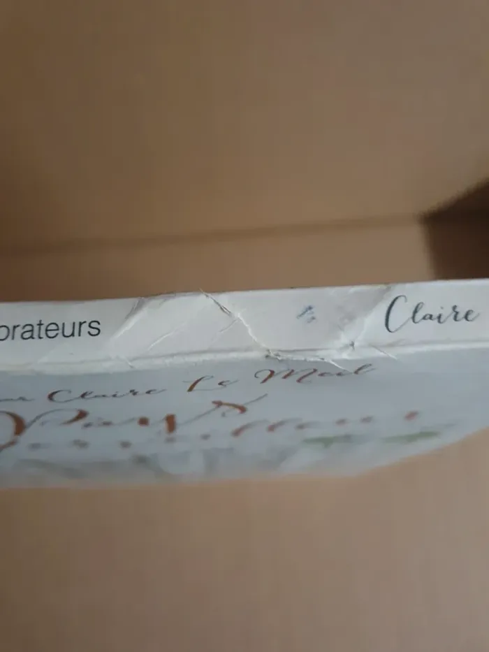 Coloriage "Pays merveilleux" - photo numéro 8